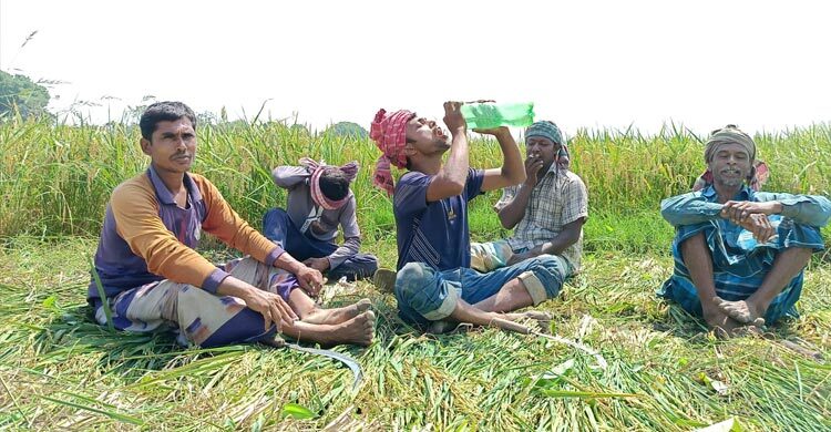 চুয়াডাঙ্গায় ৪২ দশমিক ২ ডিগ্রি সেলসিয়াস তাপমাত্রা রেকর্ড