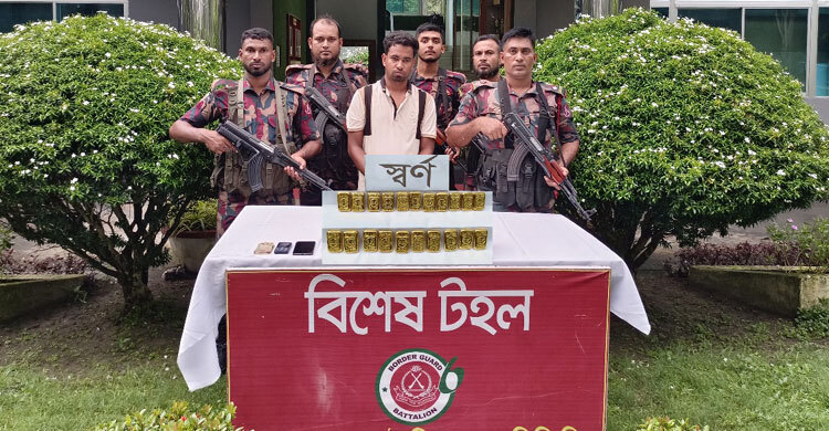 চুয়াডাঙ্গায় বিজিবির অভিযান: ২১টি সোনার বারসহ আটক ১
