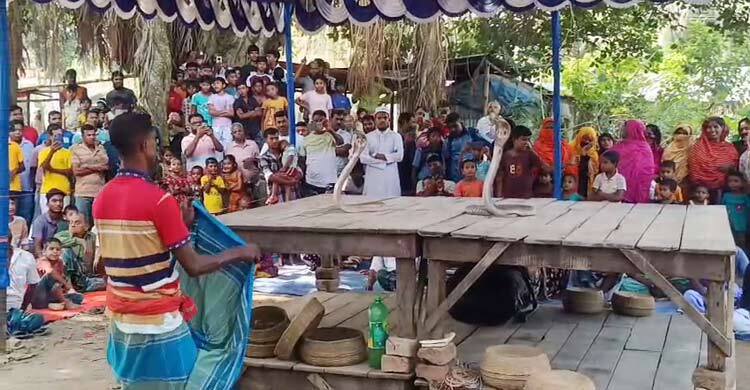 চুয়াডাঙ্গায় গ্রাম বাংলার ঐতিহ্যবাহী ঝাঁপান খেলা অনুষ্ঠিত
