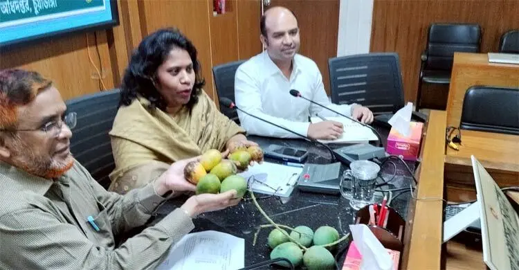 চুয়াডাঙ্গায় আম বাজারে আসবে ১৩ মে