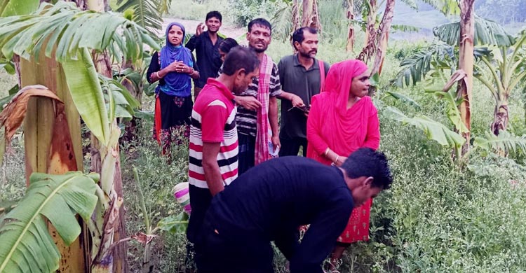 দর্শনা সীমান্তে ১১ জনকে পুশ-ইনের চেষ্টা, বিজিবির বাধায় ব্যর্থ