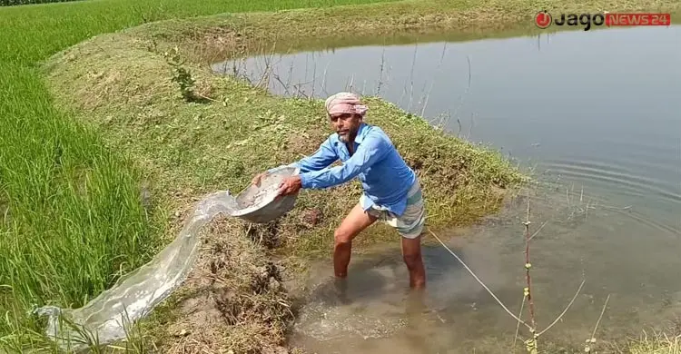 জ্বালানি সংকটে স্বস্তি দিচ্ছে জিকে ক্যানাল, কৃষকের মুখে হাসি