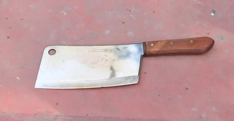 হত্যার পর ওবায়দুল্লাহকে ৭ টুকরা করে রুমমেট শাহীন