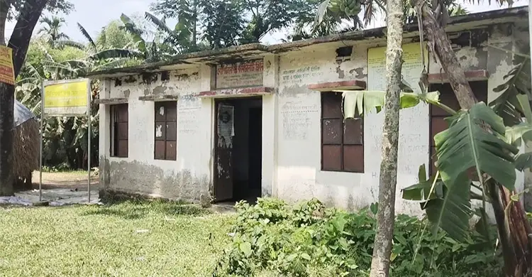 ডিম-শাকসবজি দিলে মেলে ওষুধ, খালি হাতে গেলে বলেন ‘নেই’