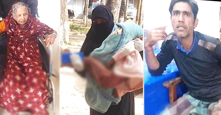 কুমিল্লায় কুকুরের কামড়ে নারী ও শিশুসহ আহত ৮