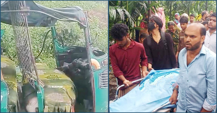 চন্দনাইশে বাস-অটোরিকশা সংঘর্ষে বউ–শাশুড়িসহ নিহত ৩