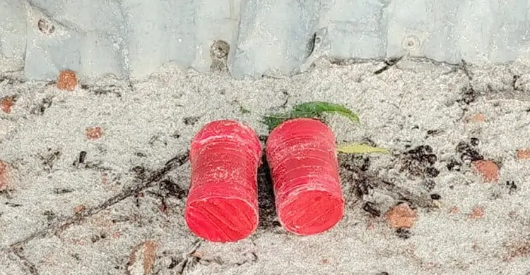 বিএনপি নেতার বাড়ির সামনে থেকে ২ বোমাসদৃশ বস্তু উদ্ধার