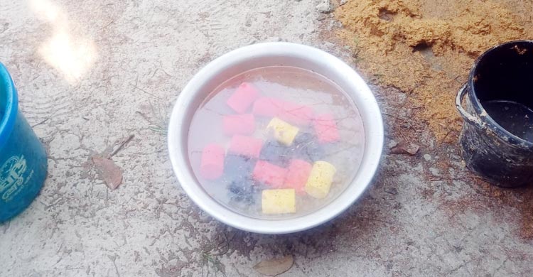 পরিত্যক্ত মুরগির ঘরে মিললো ১৬ ককটেল