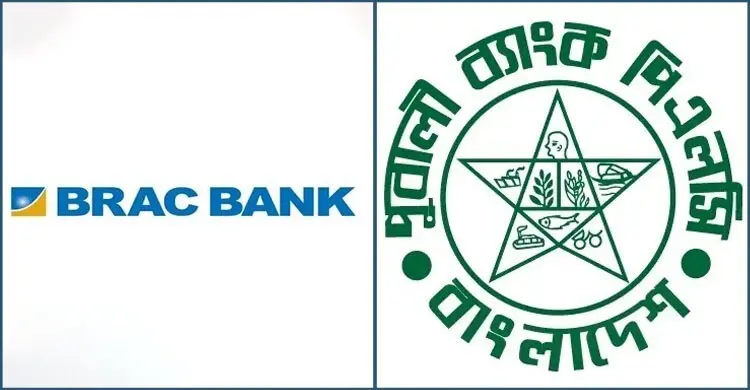 সরকারি সিকিউরিটিজে প্রাইমারি ডিলার হলো ব্র্যাক ও পূবালী ব্যাংক