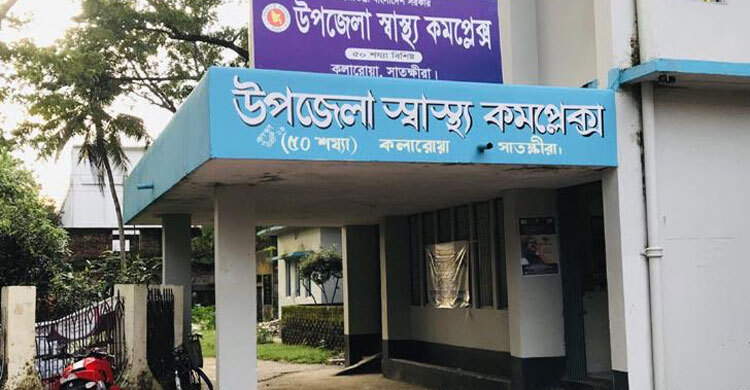 ভিমরুলের কামড়ে প্রাণ গেলো ৬৮ বছরের বৃদ্ধের