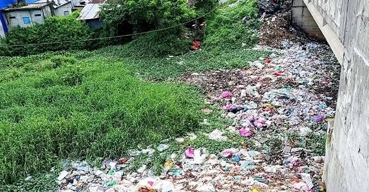 দখল-দূষণে বিপন্ন দাউদকান্দির কালাডুমুর নদী