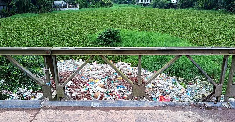 দখল-দূষণে বিপন্ন দাউদকান্দির কালাডুমুর নদী