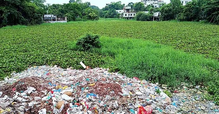 দখল-দূষণে বিপন্ন দাউদকান্দির কালাডুমুর নদী