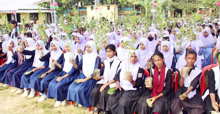 কুমিল্লায় টিফিনের টাকায় কেনা গাছের চারা বিতরণ
