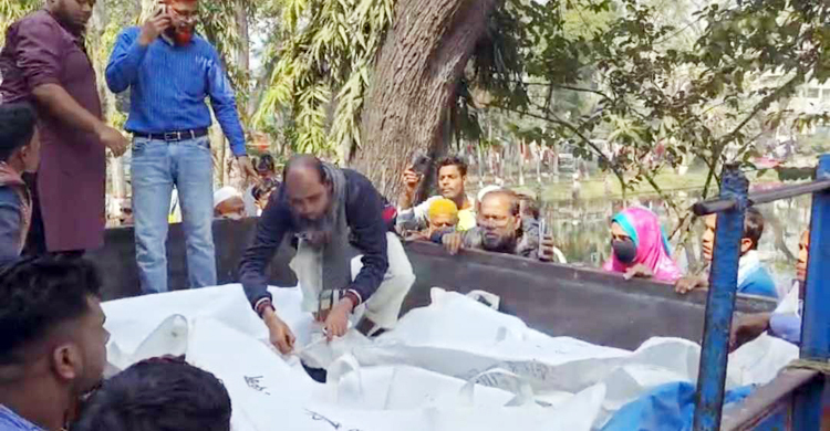 5 killed as covered van, auto-rickshaw collide in Cumilla