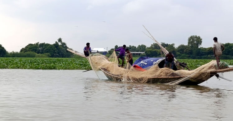মাছ নেই নদীতে, ভালো নেই গোমতী-মেঘনার জেলেরা
