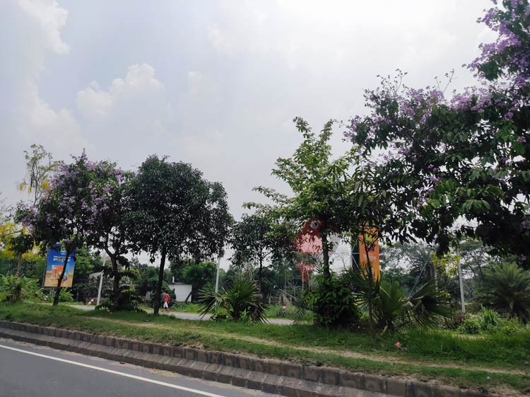 মহাসড়ক যেন ফুলের বাগান