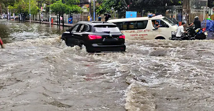 একঘণ্টার বৃষ্টিতে ডুবে গেছে কুসিকের সড়ক-অলিগলি