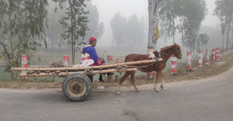 কুড়িগ্রামে বইছে মাঝারি শৈত্যপ্রবাহ, তাপমাত্রা ৬ দশমিক ৮ ডিগ্রি