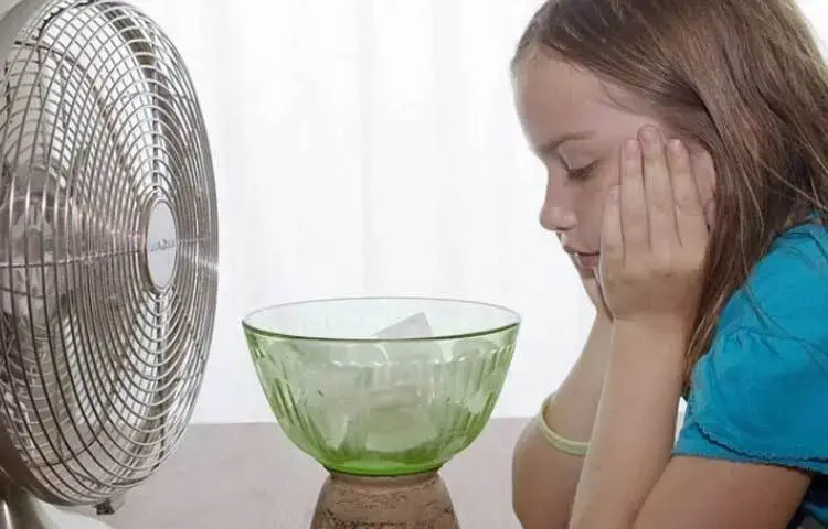 বরফ ও ফ্যানের কৌশল