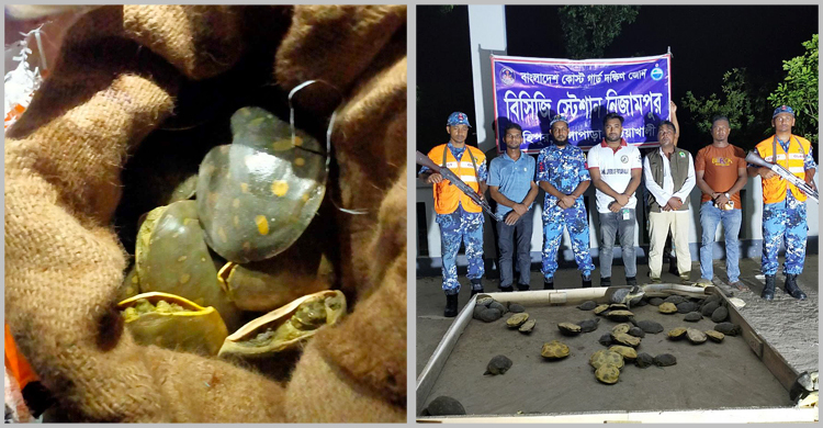 কলাপড়ায় বাসে তল্লাশি চালিয়ে ৬২ কচ্ছপ উদ্ধার