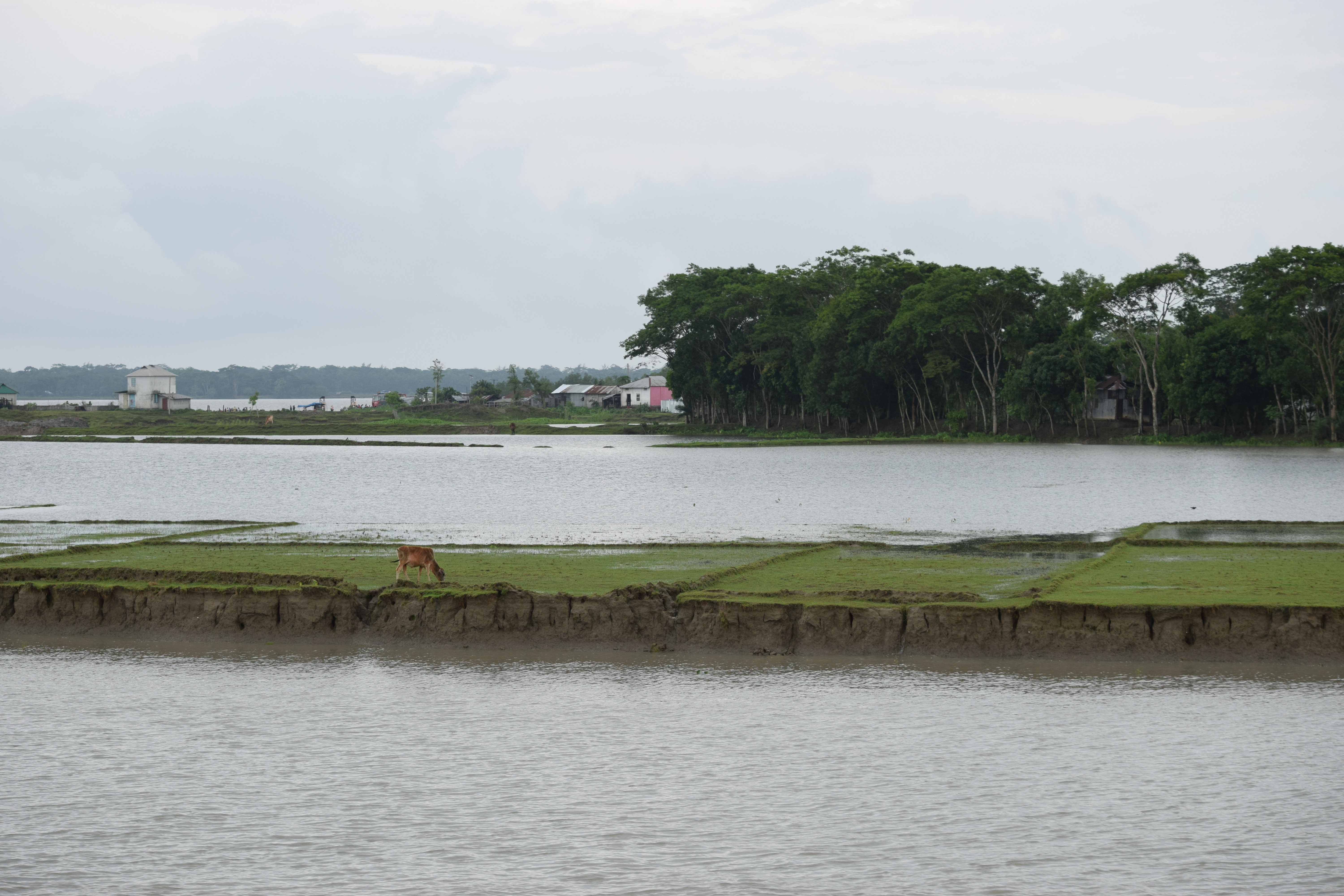 উপকূলের জন্য শুরু হলো &lsquo;বিপদসংকুল সময়&rsquo;