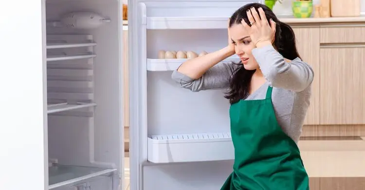 সামান্য ভুলেই ফ্রিজে ঘটতে পারে বিপদ, সচেতন থাকবেন যেভাবে