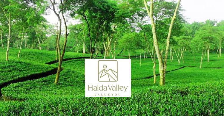 হালদা ভ্যালি চা বাগানের কবজায় ৭৮৫ একর সরকারি জমি