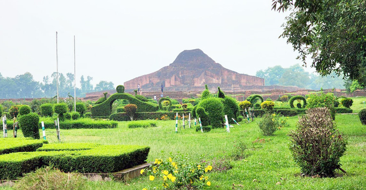 পাহাড়পুরে মানুষ-শেয়ালের বন্ধুত্ব