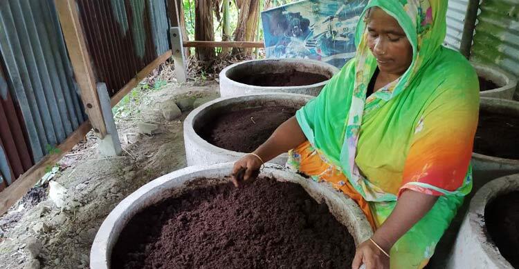 কেঁচো সারে স্বাবলম্বী মাদারীপুরের রাশিদা