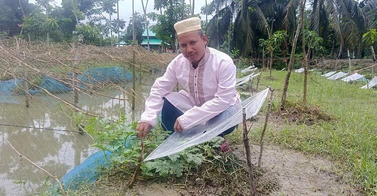 ভোলায় বর্ষাকালে তরমুজ চাষে লাভের স্বপ্ন