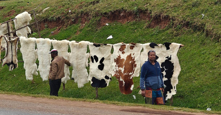 নাকুরু: কেনিয়ার প্রাকৃতিক ও সাংস্কৃতিক রত্ন