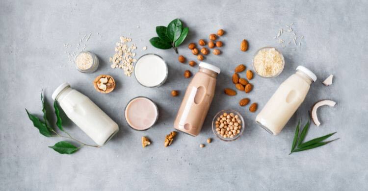 গরুর দুধ সহ্য হয় না? গাছও হতে পারে দুধের উৎস