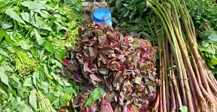 এক আঁটি লাল শাক ৩০ টাকা