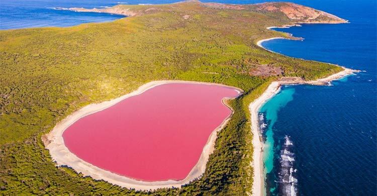 রহস্যময় গোলাপি লেক, যেখানে বাঁচে না কোনো প্রাণী