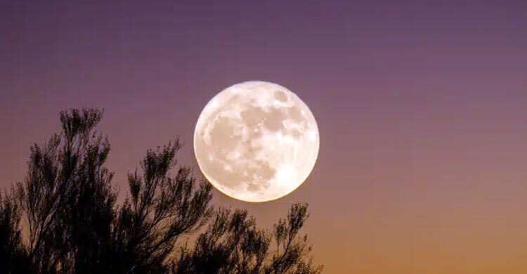 চাঁদ না থাকলে পৃথিবীর কী হবে?