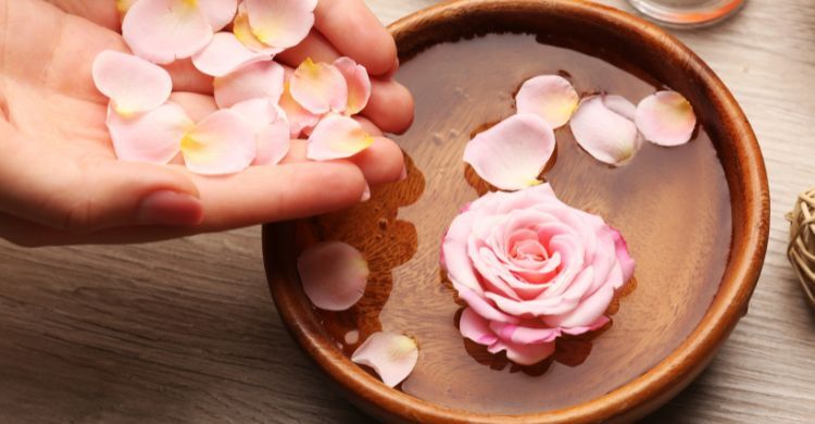 শুধু ত্বক না, চুলের যত্নও হবে গোলাপ জল দিয়ে