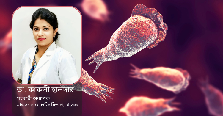 উষ্ণ ও মিঠা পানিতেই থাকে মস্তিষ্ক খেকো অ্যামিবা