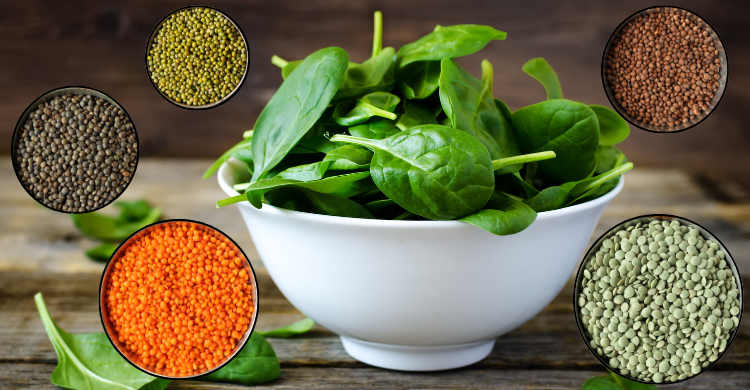 পালংশাকের তড়কা ডাল খাওয়ার মৌসুম চলে এলো, রইলো রেসিপি