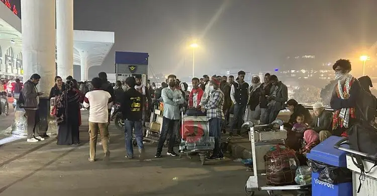 শাহজালাল বিমানবন্দরে মৌমাছির মতো হামলে পড়ে মশা