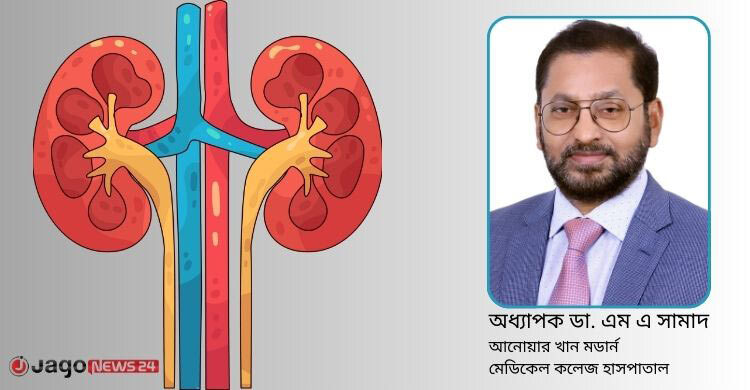 কিডনি রোগের ঝুঁকিতে আছেন যারা, জানুন বিশেষজ্ঞের পরামর্শ