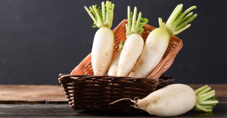 পুষ্টিগুণের কথা শুনলে শীতের যে সবজি আর এড়িয়ে যাবেন না