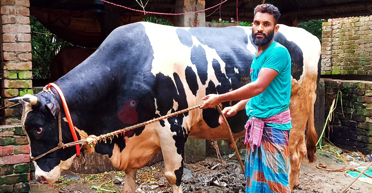 ‘নড়াইলের টাইগার’র ওজন ৫৫ মণ, কিনলে পালসার মোটরসাইকেল ফ্রি