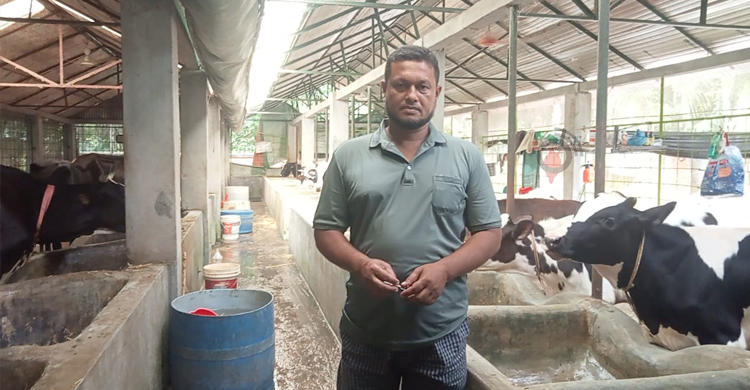 দিনে শতাধিক লিটার দুধ পান ২২ গরুর মালিক