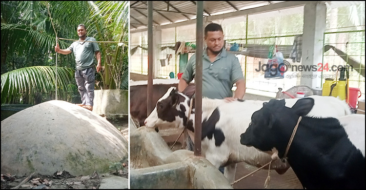 রেজাউলের দুগ্ধ খামারের বায়োগ্যাসে চলে রান্নার কাজ