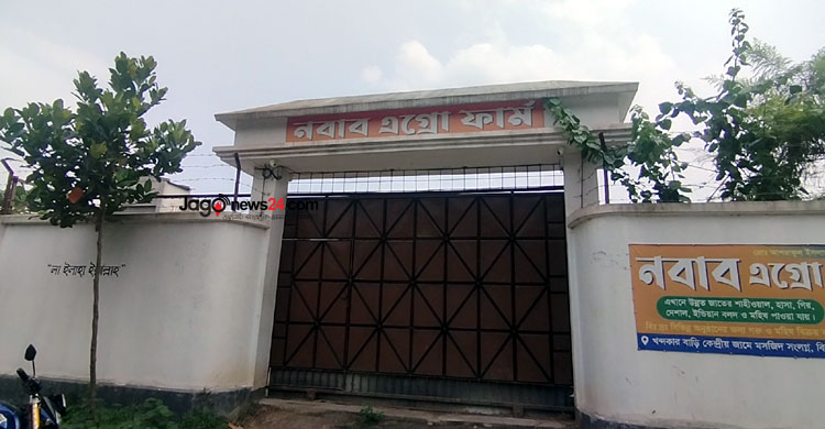 ৮ গরুতে শুরু, এখন সফল খামারি জামাই-শ্বশুর