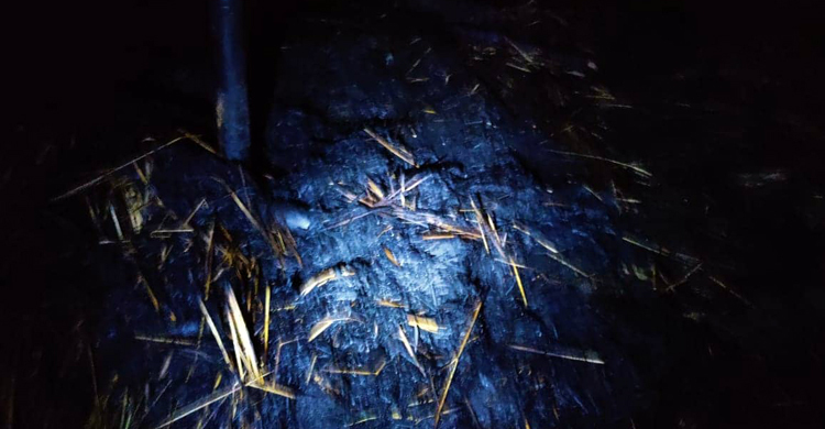 গরু বাঁচাতে গিয়ে দগ্ধ হয়ে মৃত্যুশয্যায় কৃষক