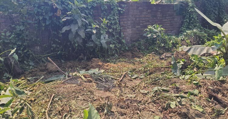 গরু চুরি করে মাঠে নিয়ে জবাই, টের পেলো না কেউই