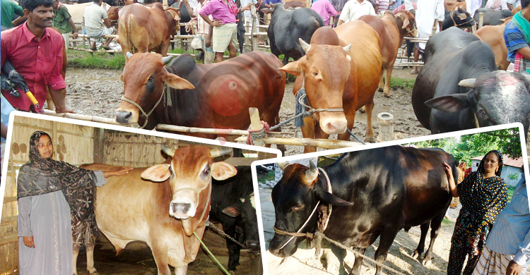 বছর ঘুরলেই লাখপতি, সেই দিন আর নেই