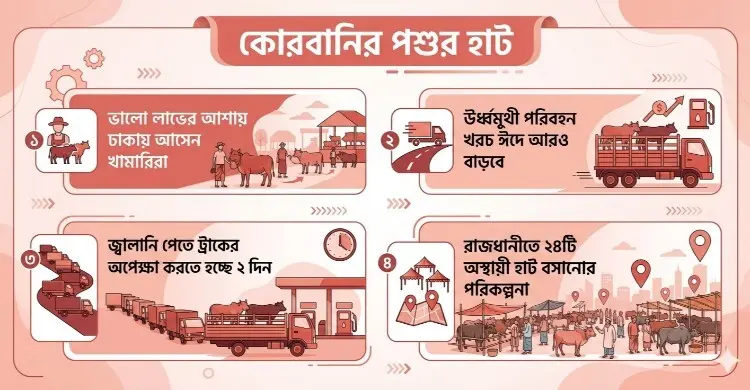 পরিবহন খরচ বাড়তি, ঢাকার হাটে কোরবানির পশু তোলা নিয়ে শঙ্কা